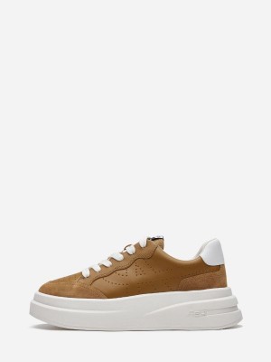 ASH Impuls Lage Sneakers Dames Bruin Wit | 173860OKT