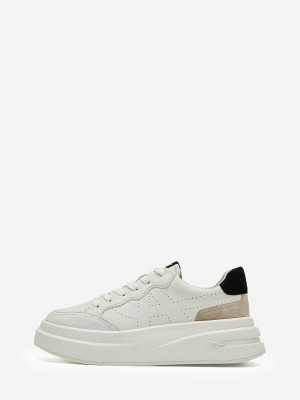 ASH Impuls Lage Sneakers Dames Wit Wit Zwart | 942765AQR