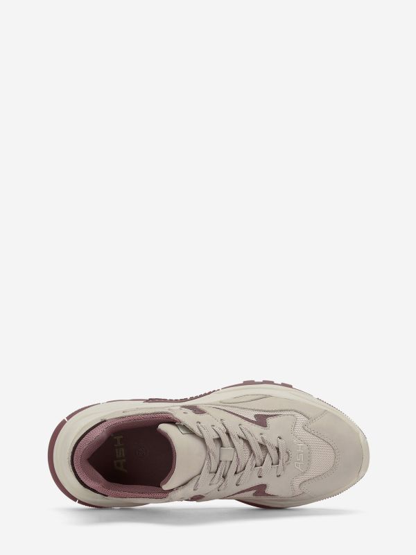 ASH Addict Lage Sneakers Dames Shell / Pinkwood / Ganache | 613750ZGX