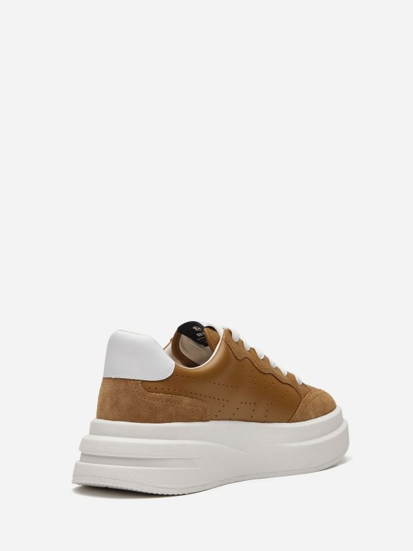 ASH Impuls Lage Sneakers Dames Bruin Wit | 173860OKT