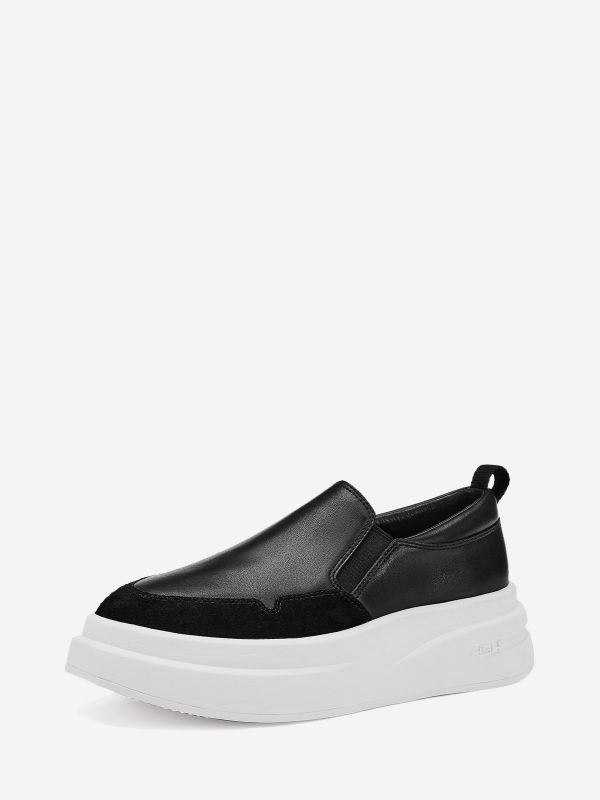 ASH Intox Lage Sneakers Dames Zwart | 204936XUT