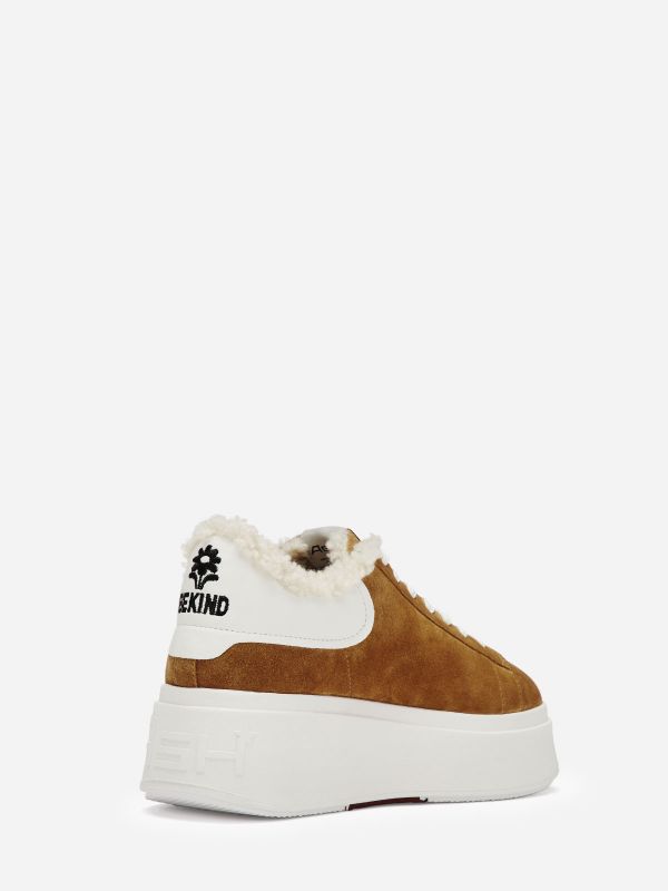 ASH Moby Be Kind Fur Lage Sneakers Dames Bruin Wit | 479516EBM